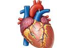 Stalna srčna bolečina: možni vzroki Stalna srčna bolečina