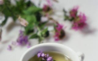 Kādus augus var pagatavot un dzert tējas vietā?